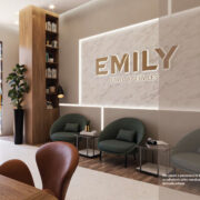 Interior – Emily Travel – Lushnje